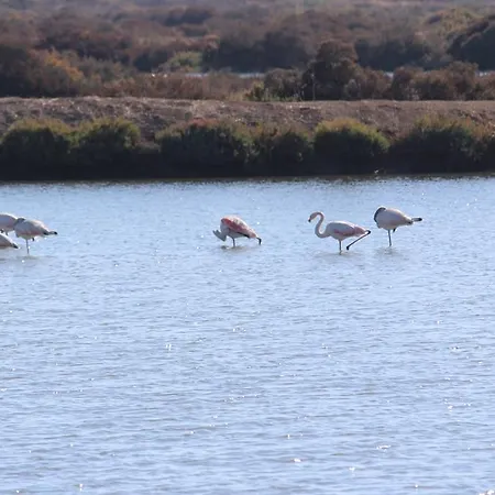 Gospodarstwo wiejskie White Bride Fz