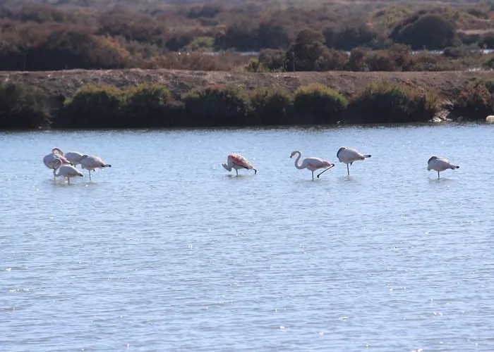 乡村民宿 White Bride Fz